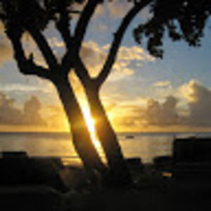 Meet your Posher, Eleni